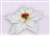 12" Poinsettia Wallflowers - White